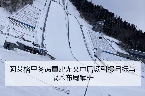 阿莱格里冬窗重建尤文中后场引援目标与战术布局解析