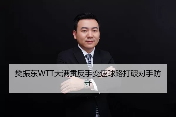 樊振东WTT大满贯反手变速球路打破对手防守
