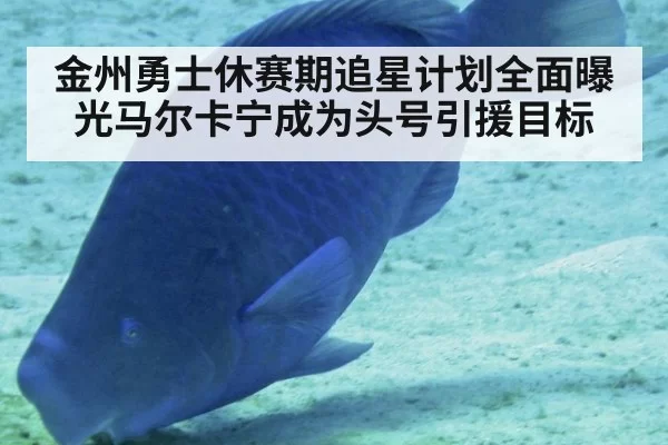 金州勇士休赛期追星计划全面曝光马尔卡宁成为头号引援目标